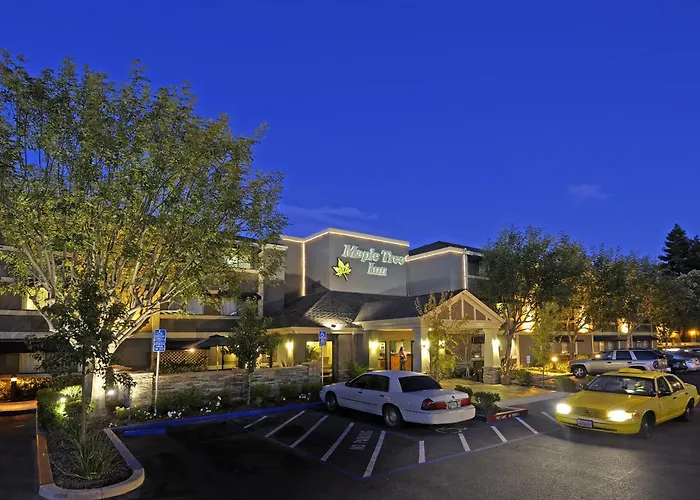 Maple Tree Inn
