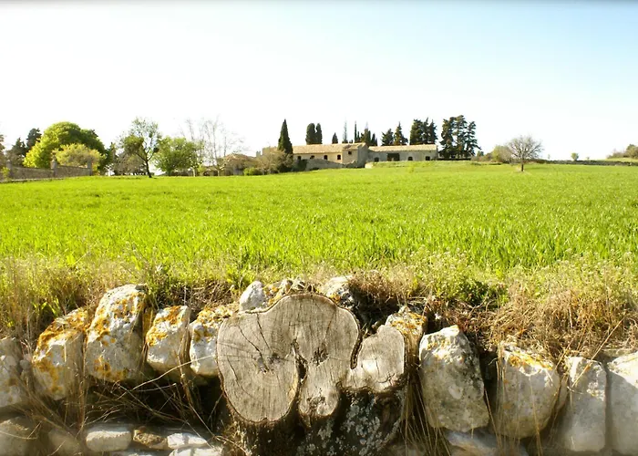 Hotel Le Crillon Murs 
