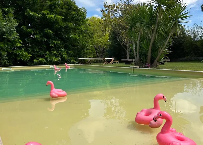 Le Patio, chambres d hôtes pour adultes en Camargue, possibilité de naturisme à la piscine,