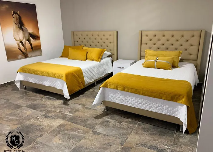 Hotel Cafelia Boutique Combia Baja