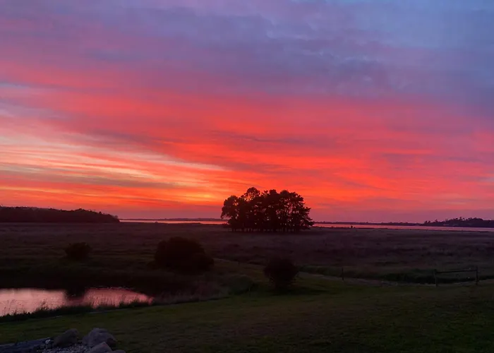 Pelican Point Sanctuary