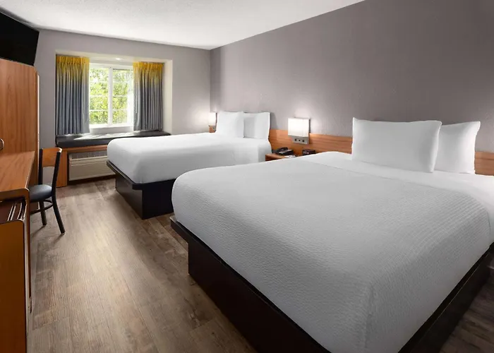 Microtel Inn & Suites By Wyndham Ann Arbor