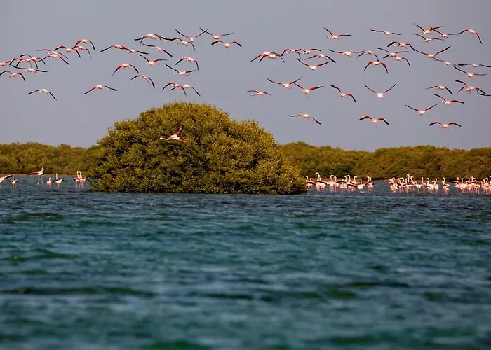 Flamingo Beach Hotel