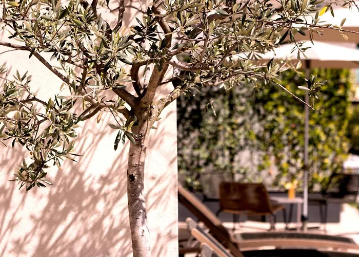 City Hotel Meran