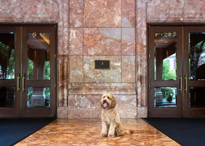 The Ritz-Carlton, St. Louis