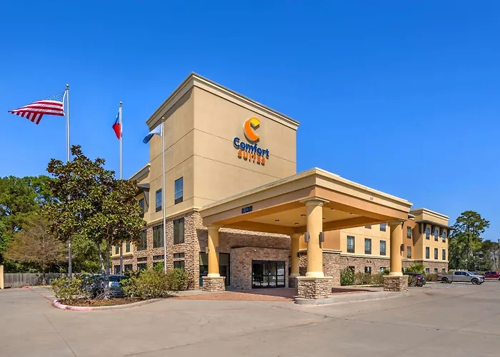 Comfort Suites Old Town Spring