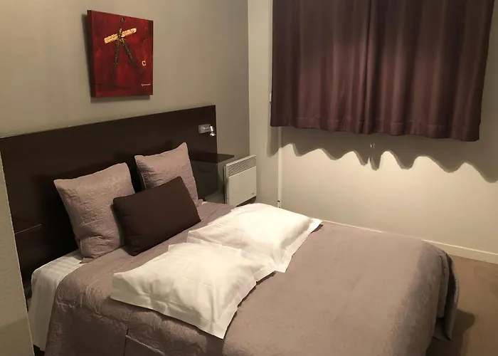 Appart'Hotel Les Palatines
