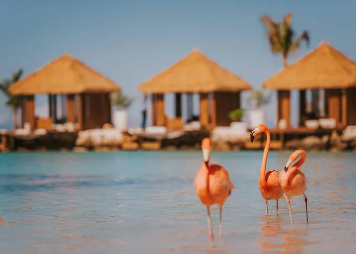 Renaissance Wind Creek Aruba Resort