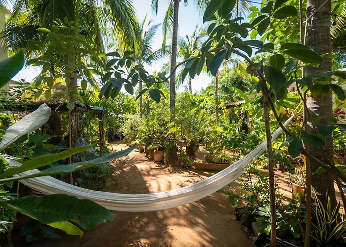 Hotel Villa Mozart Y Macondo Puerto Escondido 