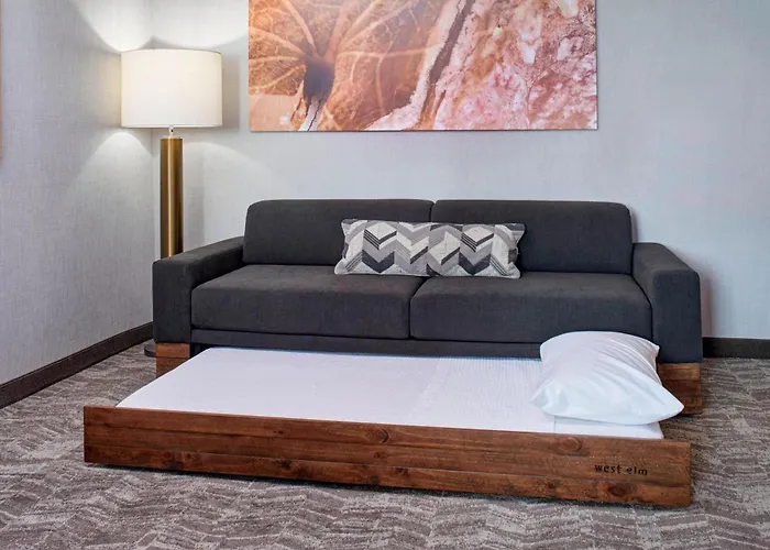 Springhill Suites By Marriott Grand Rapids West