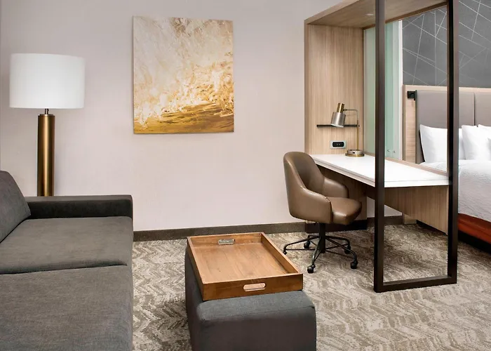 Springhill Suites By Marriott Punta Gorda Harborside