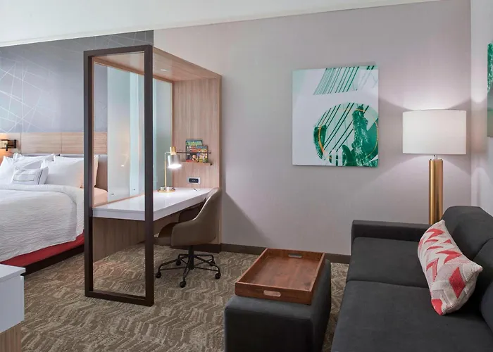 Springhill Suites By Marriott East Lansing University Area, Lansing Area