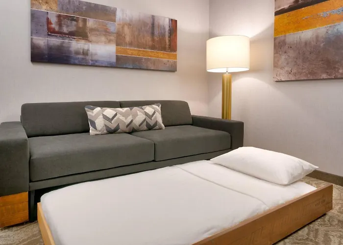 Springhill Suites By Marriott Colorado Springs North/Air Force Academy