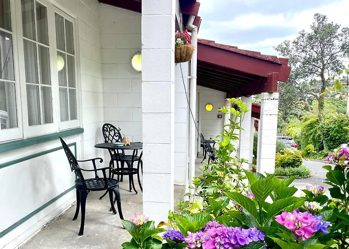 Browns Bay Olive Tree - Pet Friendly Family Apartment