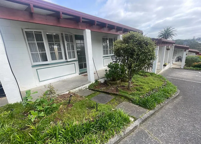 Browns Bay Olive Tree - Pet Friendly Family Apartment