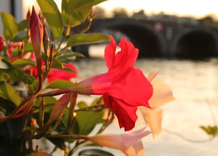 Houseboat Orpheus