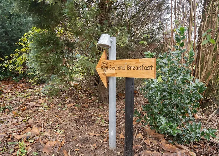 Bed&Breakfast Bij ons in het bos