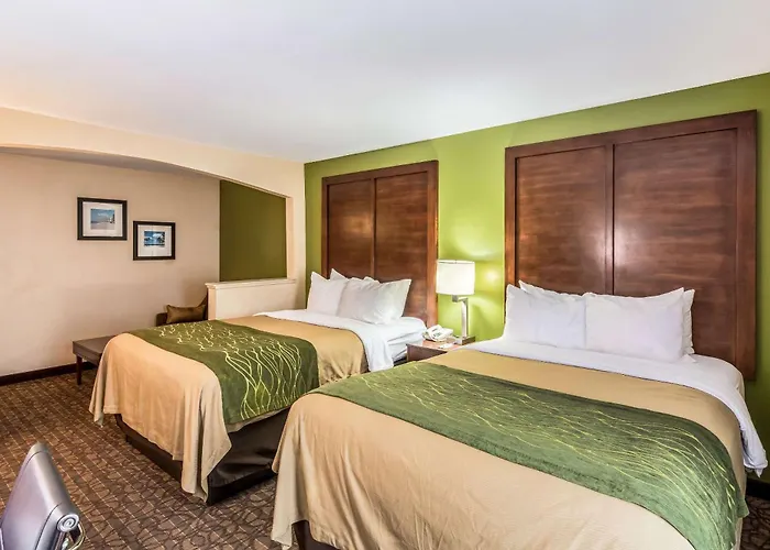 Comfort Inn & Suites Panama City North