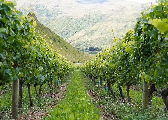 Mt Rosa Lodge Boutique Vineyard Accommodation Gibbston