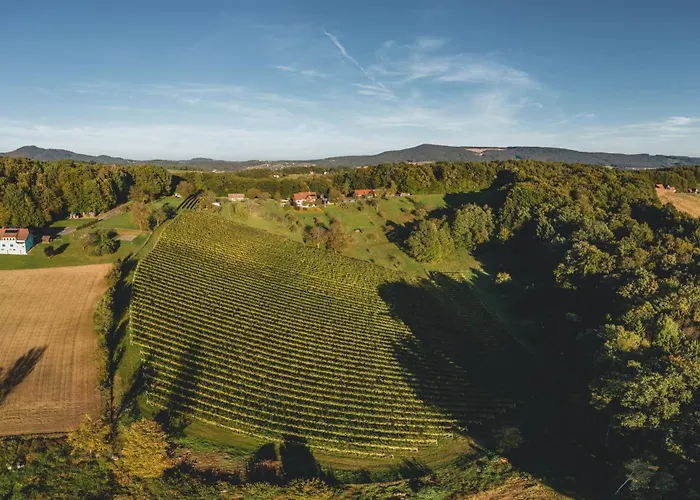 Monschein Bioweinhof Straden