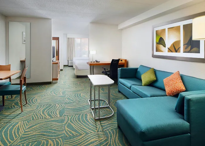 Springhill Suites By Marriott Chicago Southwest At Burr Ridge Hinsdale