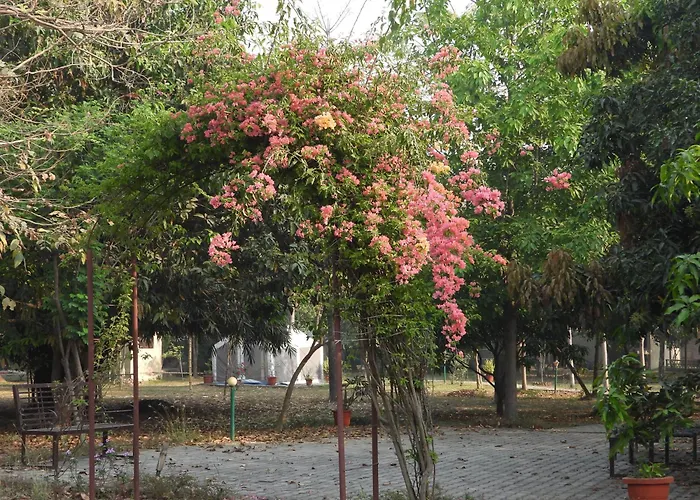 Lumbini Buddha Garden Resort