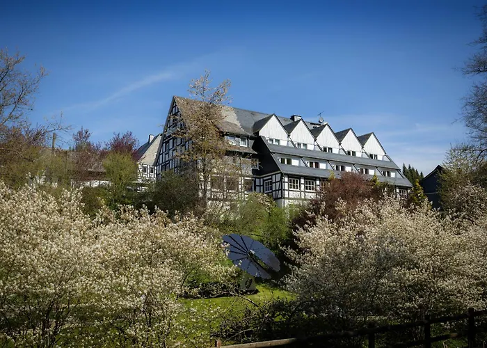 Hotel & Gasthof Hubertushoehe - Ihr Hotel Fuer Urlaub Mit Hund