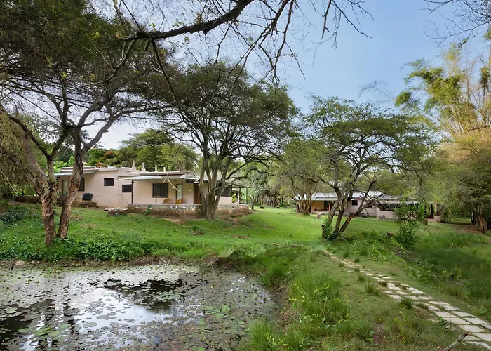 Jungle Hut Resort