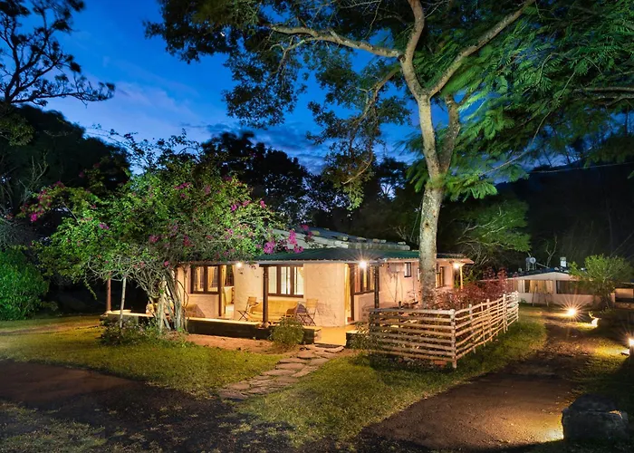 Jungle Hut Resort