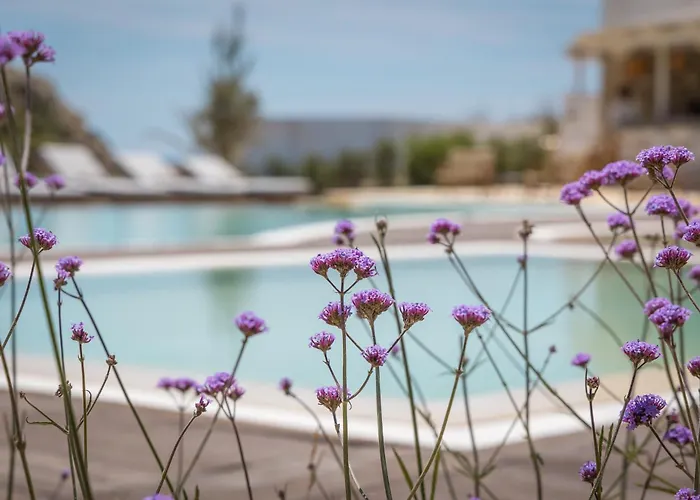 Golden Milos Beach Ηouse By Domotel Provatas