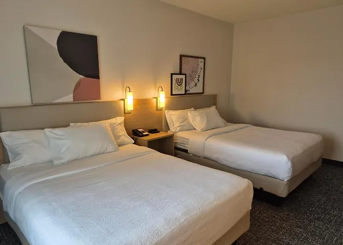 Spark By Hilton Lancaster Rohrerstown