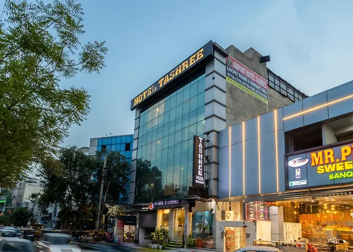 Hotel Tashree Near T3 - Free Airport Drop