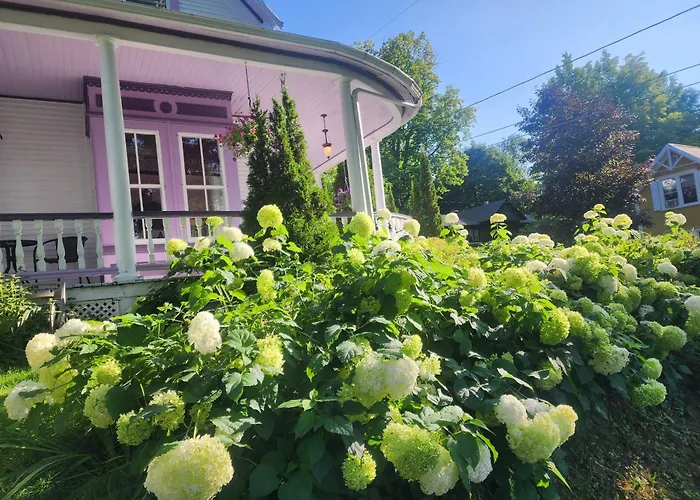 Ô Bois Dormant B&B