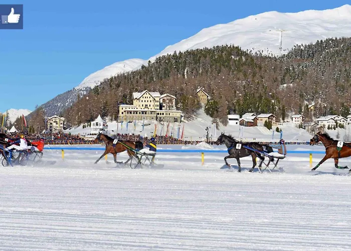 Hotel Waldhaus Am See