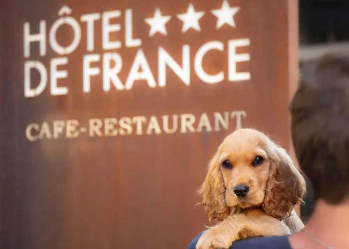 Logis Hôtel Restaurant de France