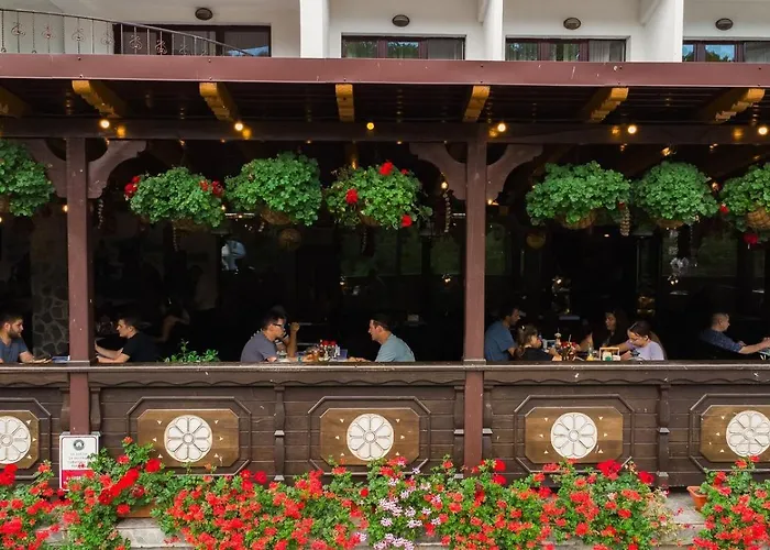Hotel Fantanita Haiducului Bradu 