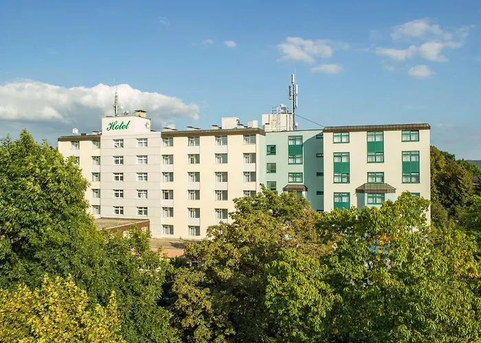 Best Western Plus Hotel Steinsgarten