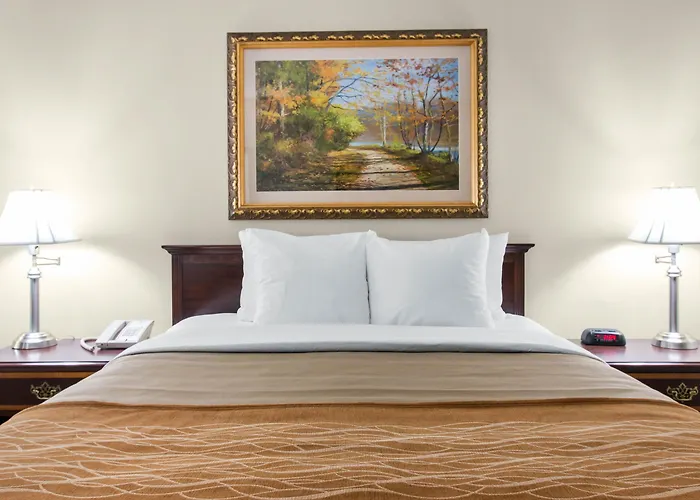 Comfort Inn Plainwell