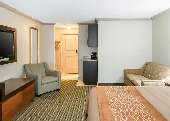Comfort Inn Plainwell