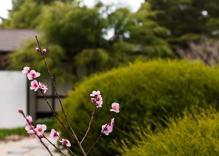 Shizuka Ryokan Japanese Country Spa & Wellness Retreat Hepburn Springs