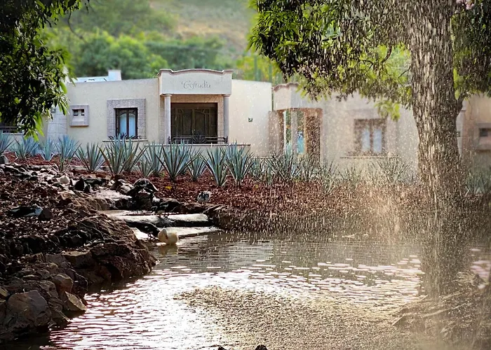 Matices Hotel de Barricas Tequila