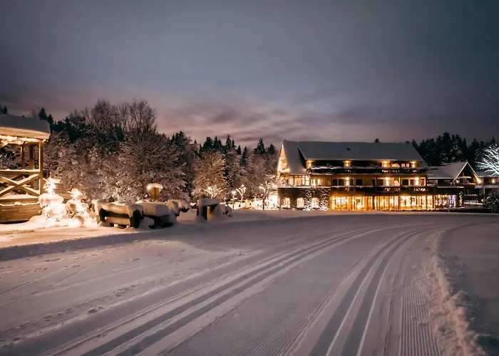 Hotel Gruener Wald