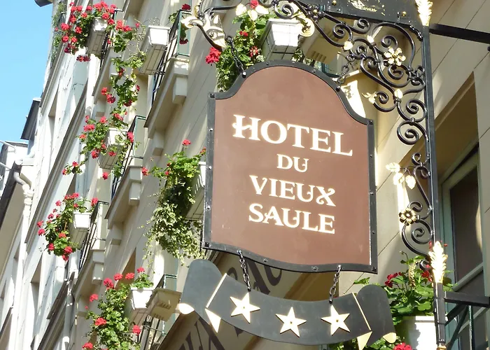 Du Vieux Saule