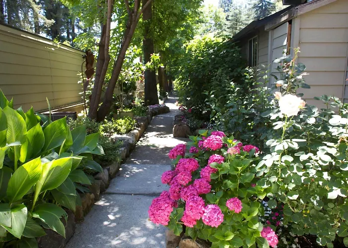 Cottages On River Road