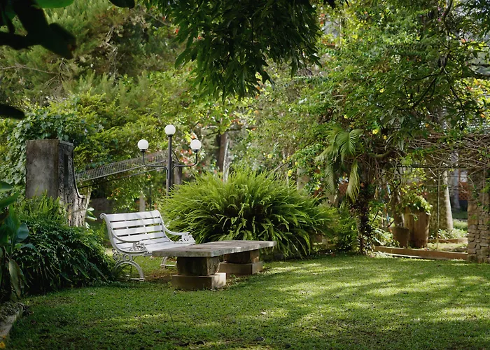 Bandarawela Hotel