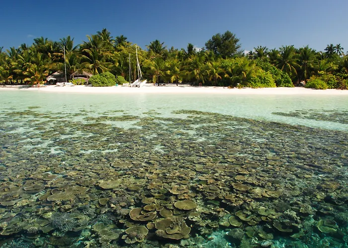 Vilamendhoo Maldives Resort Island Dhangethi