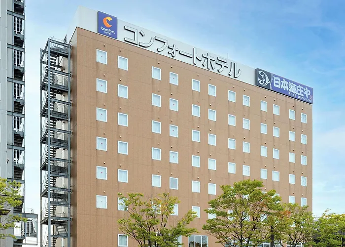 Comfort Hotel Tsubamesanjo