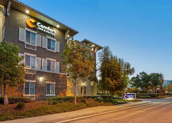 Comfort Inn & Suites Near Airport