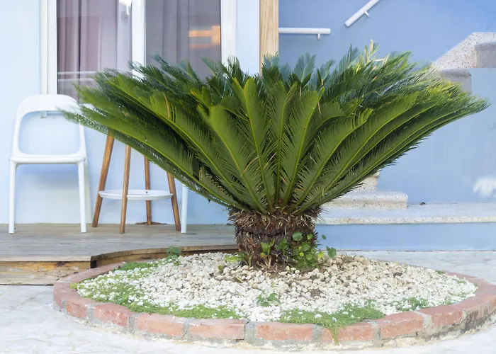 Casa Valeria Boutique Hotel Sosua