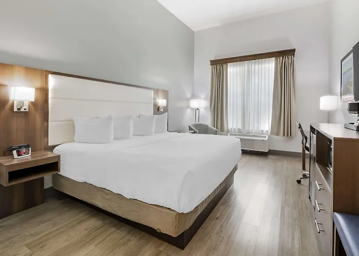 Best Western Plus First Coast Inn And Suites